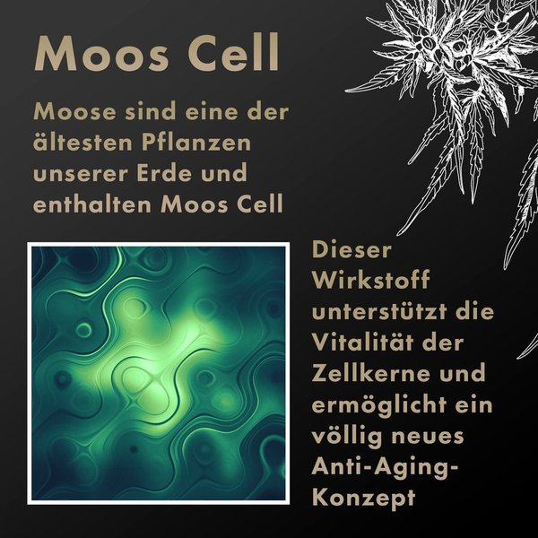 Original Dr. Berger "Black Edition" Tagescreme 50 ml mit Moos Cell